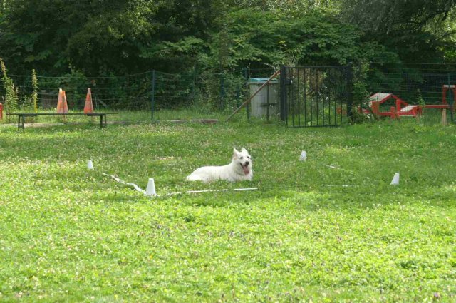 obeissance 2014-08-02